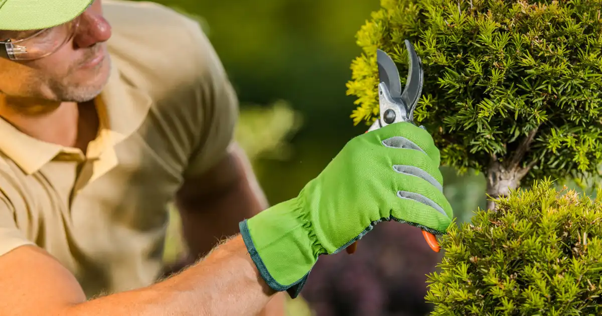 Home Maintenance Checklist Beach Home