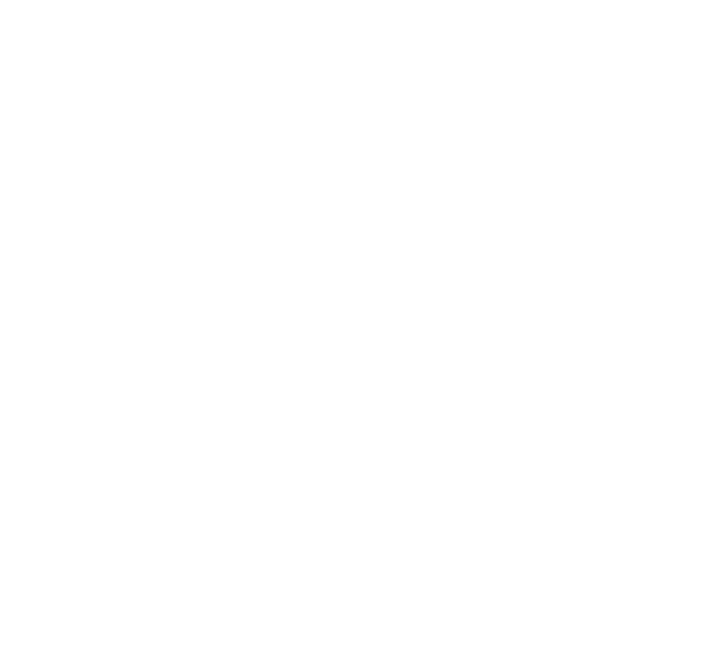 Joe Belz + Apex Team logo