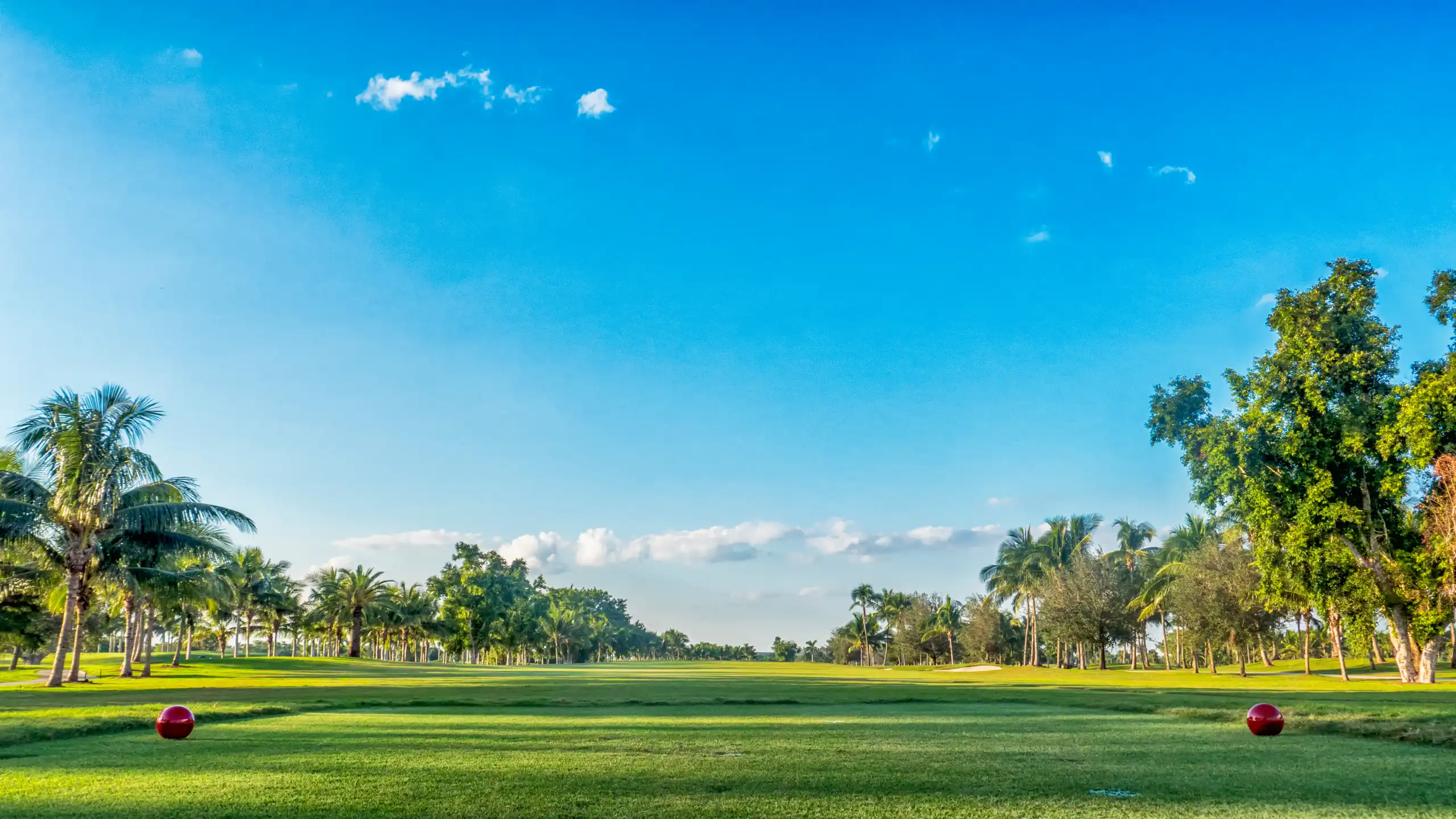 Mirasol community
