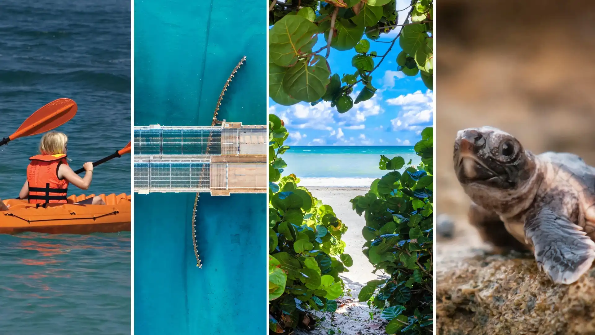 The Small Things Buyers Don't Expect About Living Near the Ocean