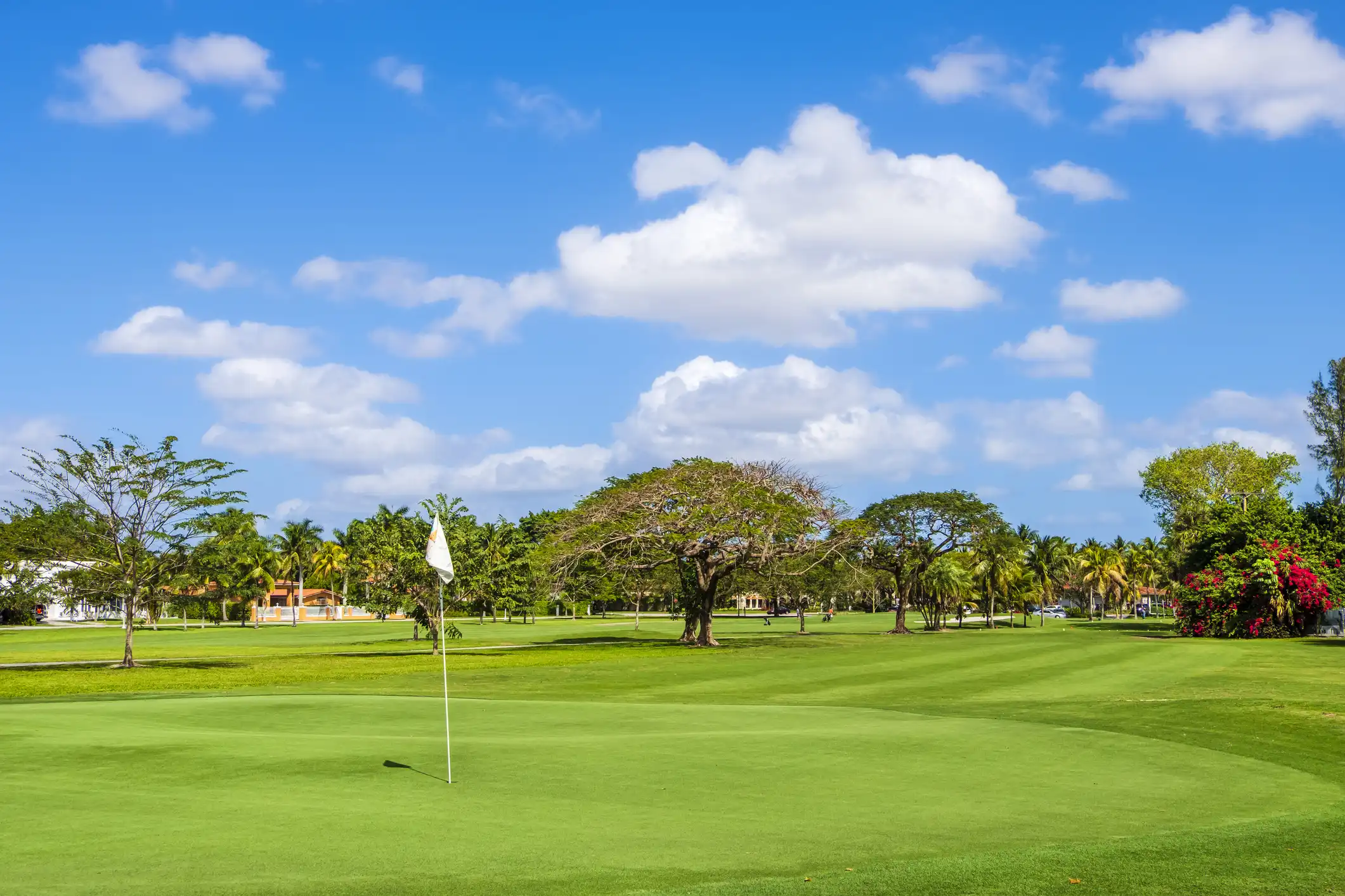 Why Golf Is Growing Again and What It Means for Florida Golf Communities