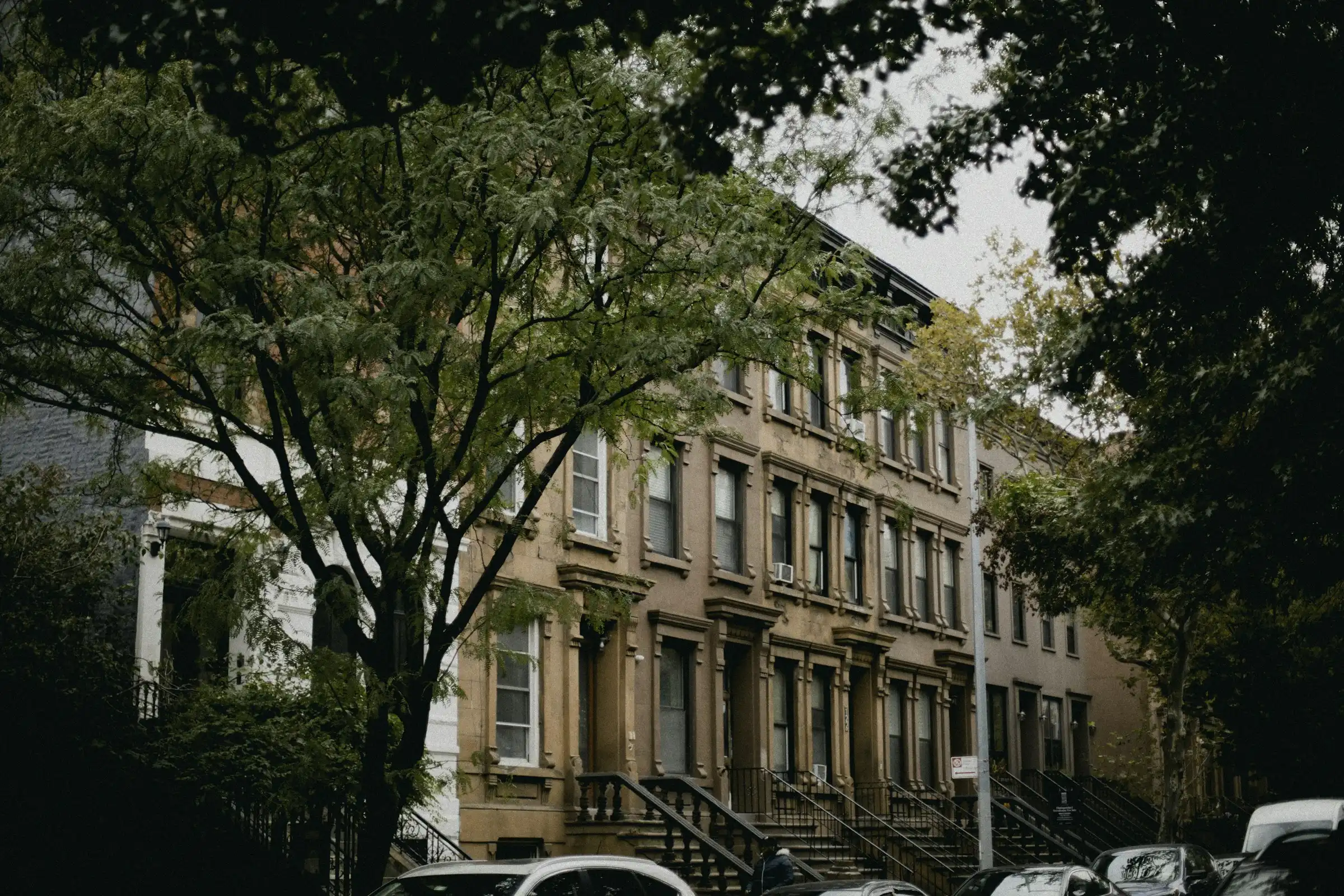 Tree-lined row of brownstone townhouses in New York City