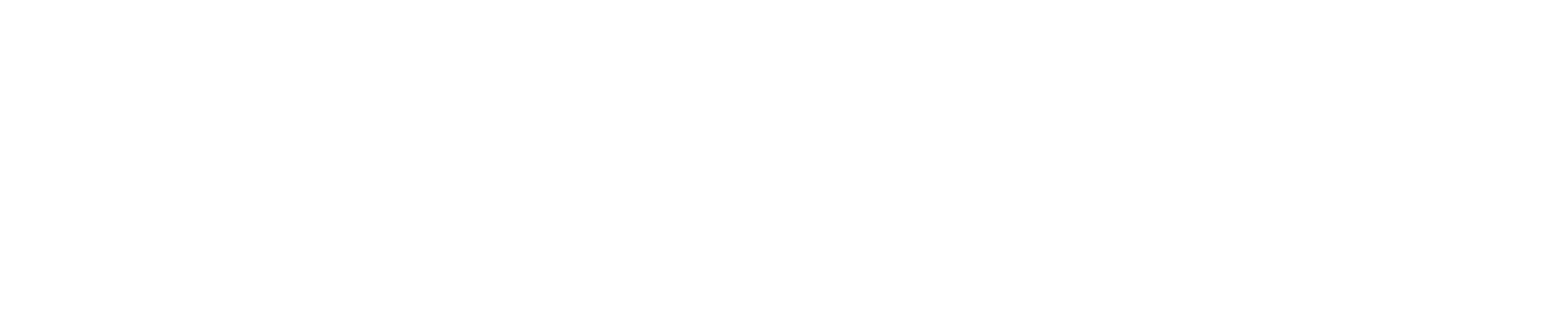 The Saltwater Group logo