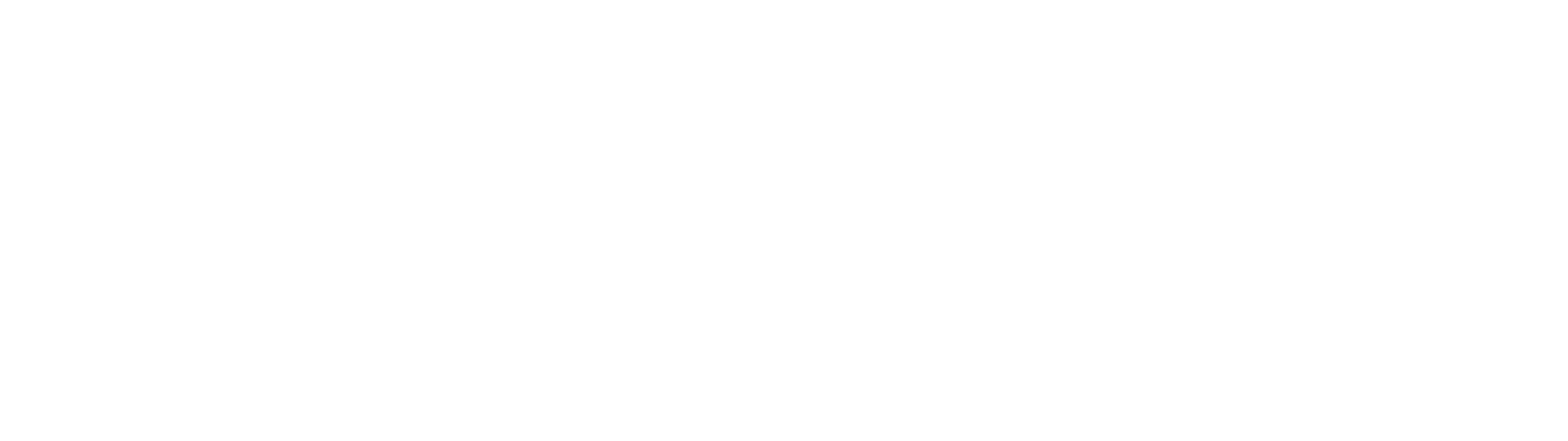 The Hollander Team logo