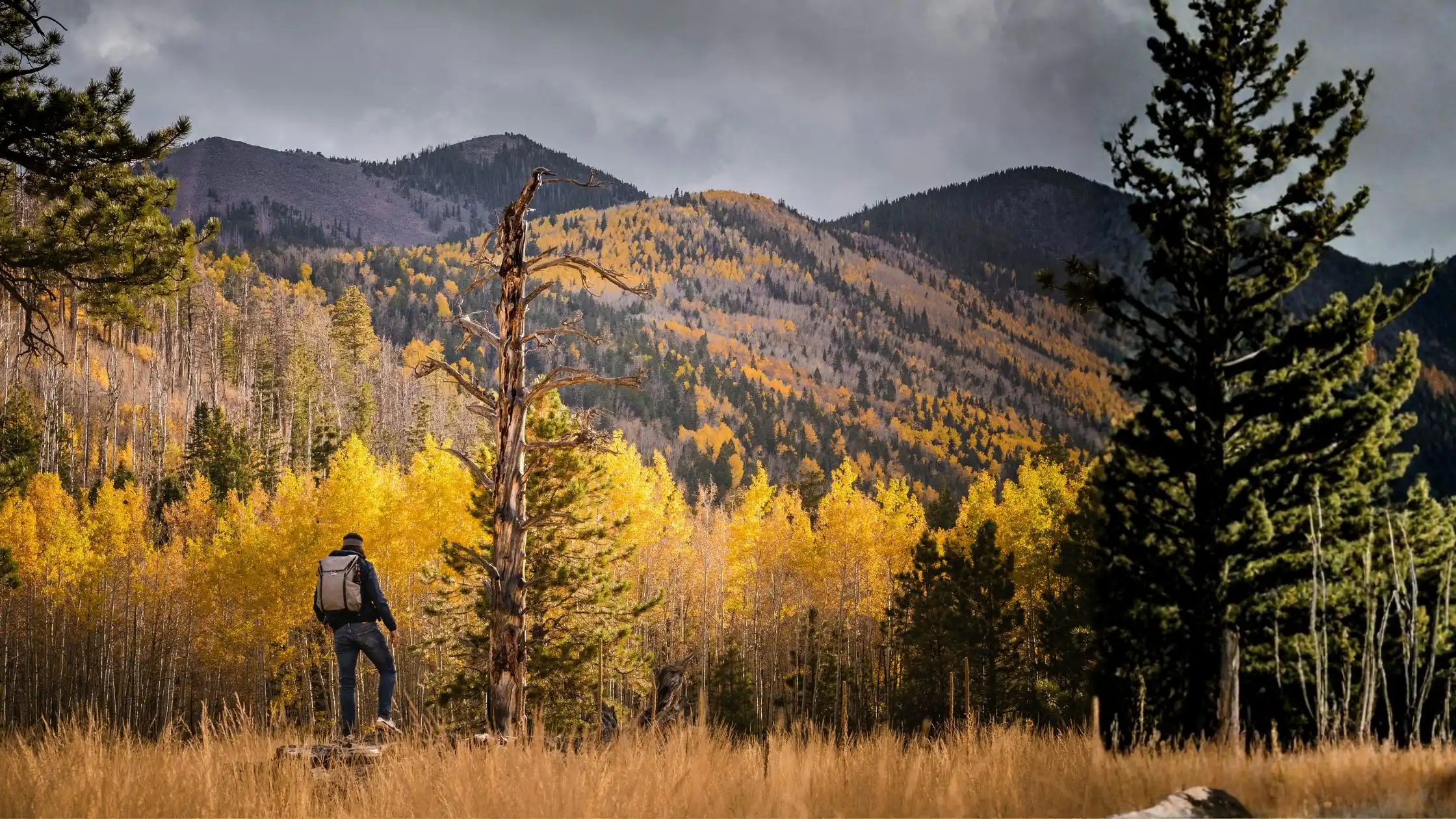 Marine Veteran REALTOR Mikhail Quijada Brings Elite Market Insight to Arizona’s Luxury Real Estate Landscape