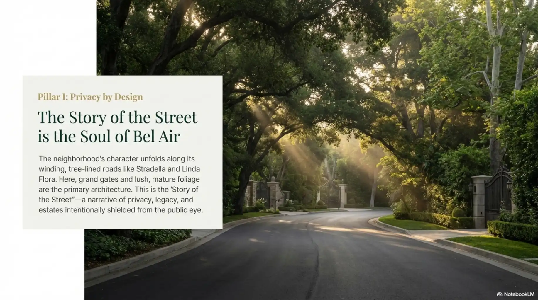 Sunlight streaming through mature trees on a winding road in Bel Air, next to text about "The Story of the Street."