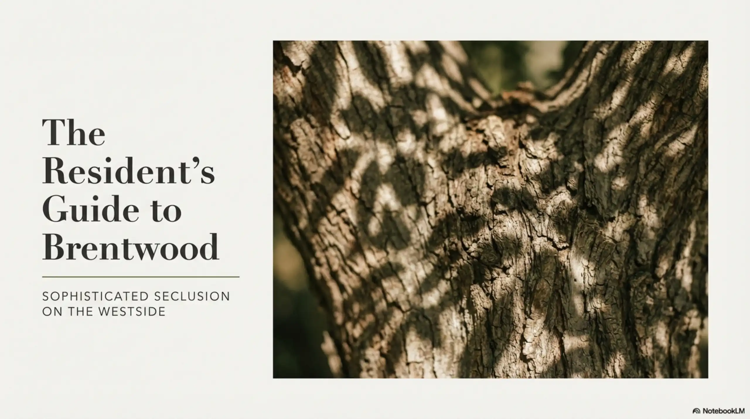 Close-up detail of tree bark texture serving as a background for the Resident's Guide to Brentwood title slide.