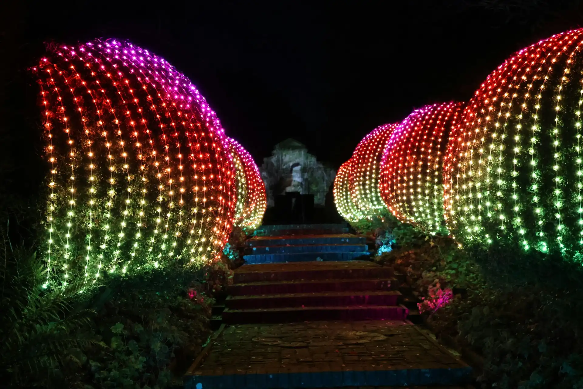 A garden path lined with glowing holiday light displays at night