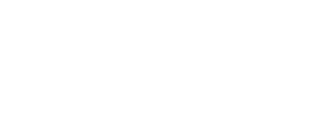 Bri Haydis logo