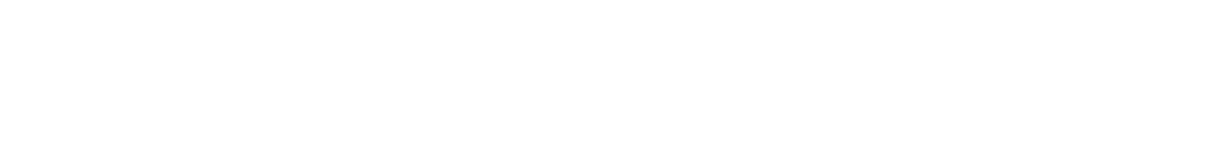 Forde Nesslogo
