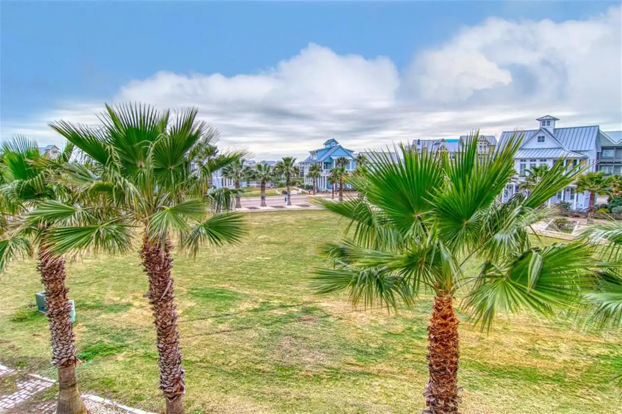 Great Lawn View