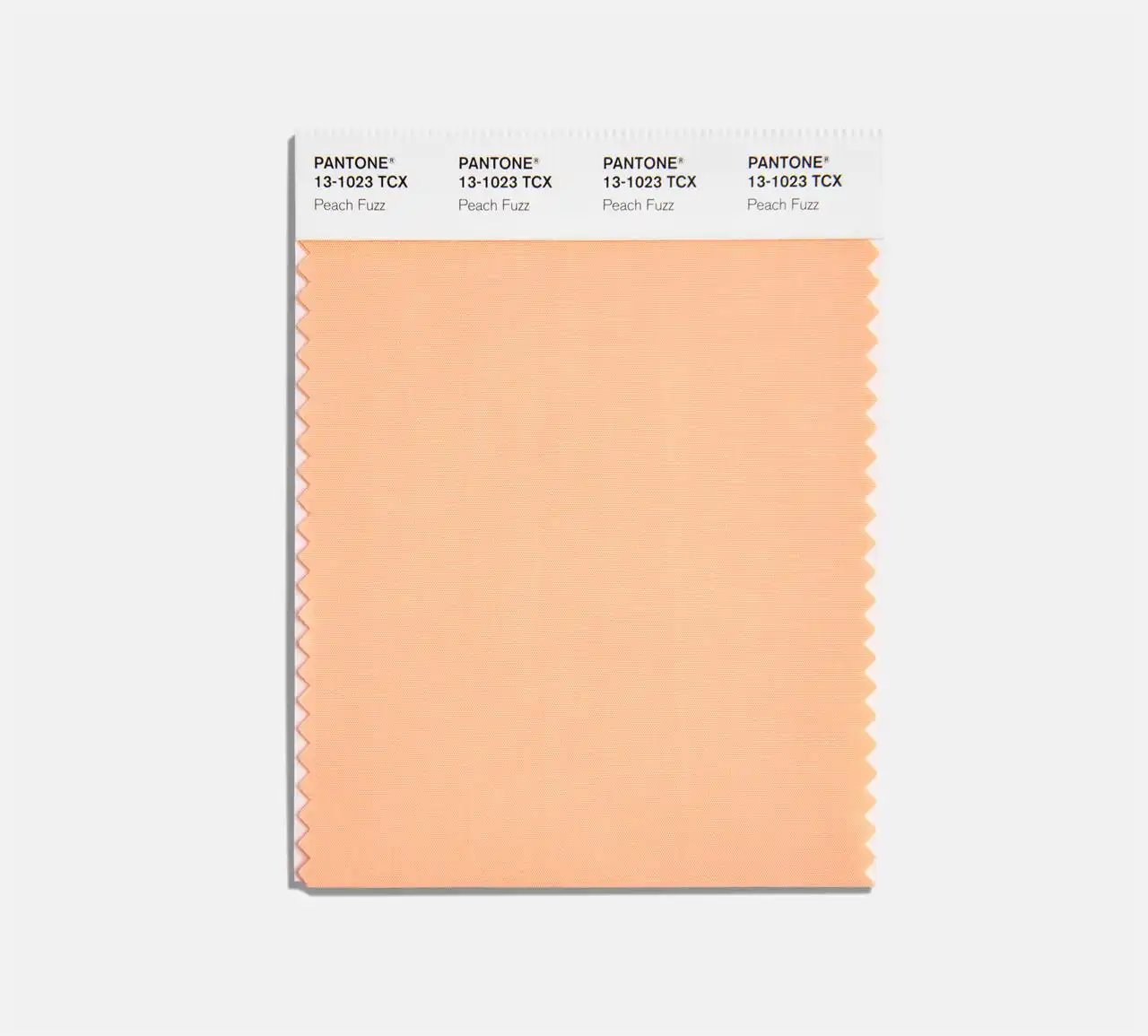 swatch_RESIZE