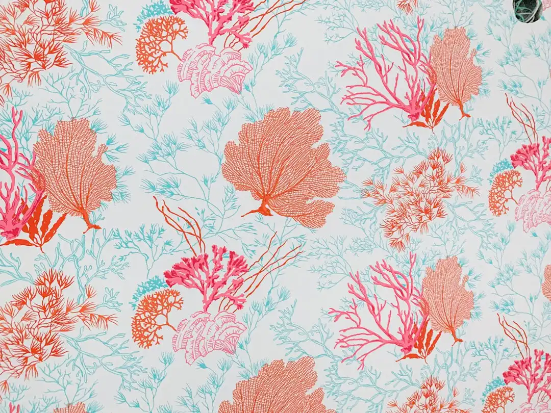 jelly fish wallpaper