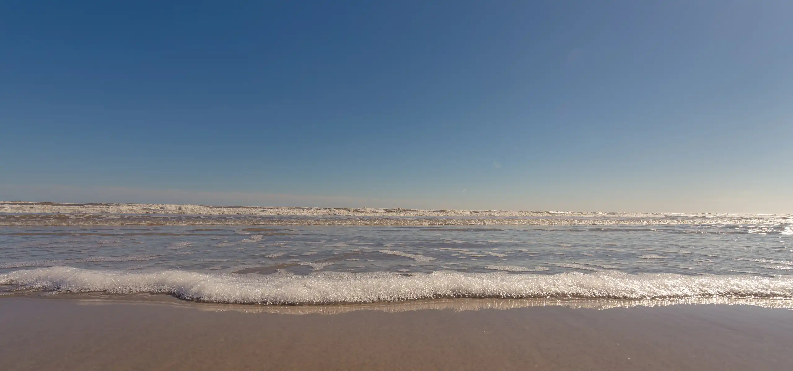 cinnamon shore sunrise